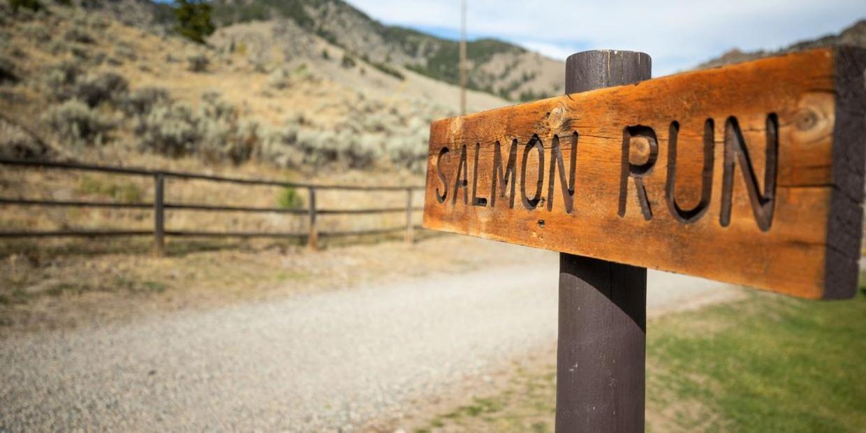 Twin Peaks Guest Ranch Villa Salmon Екстериор снимка